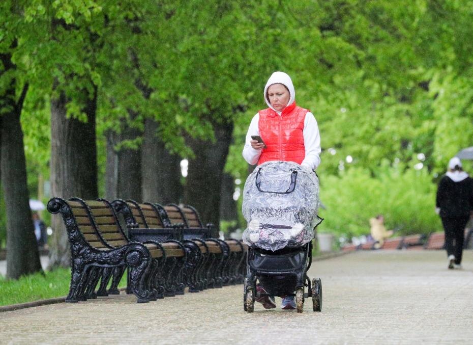    Сергей Булкин/NEWS.ru