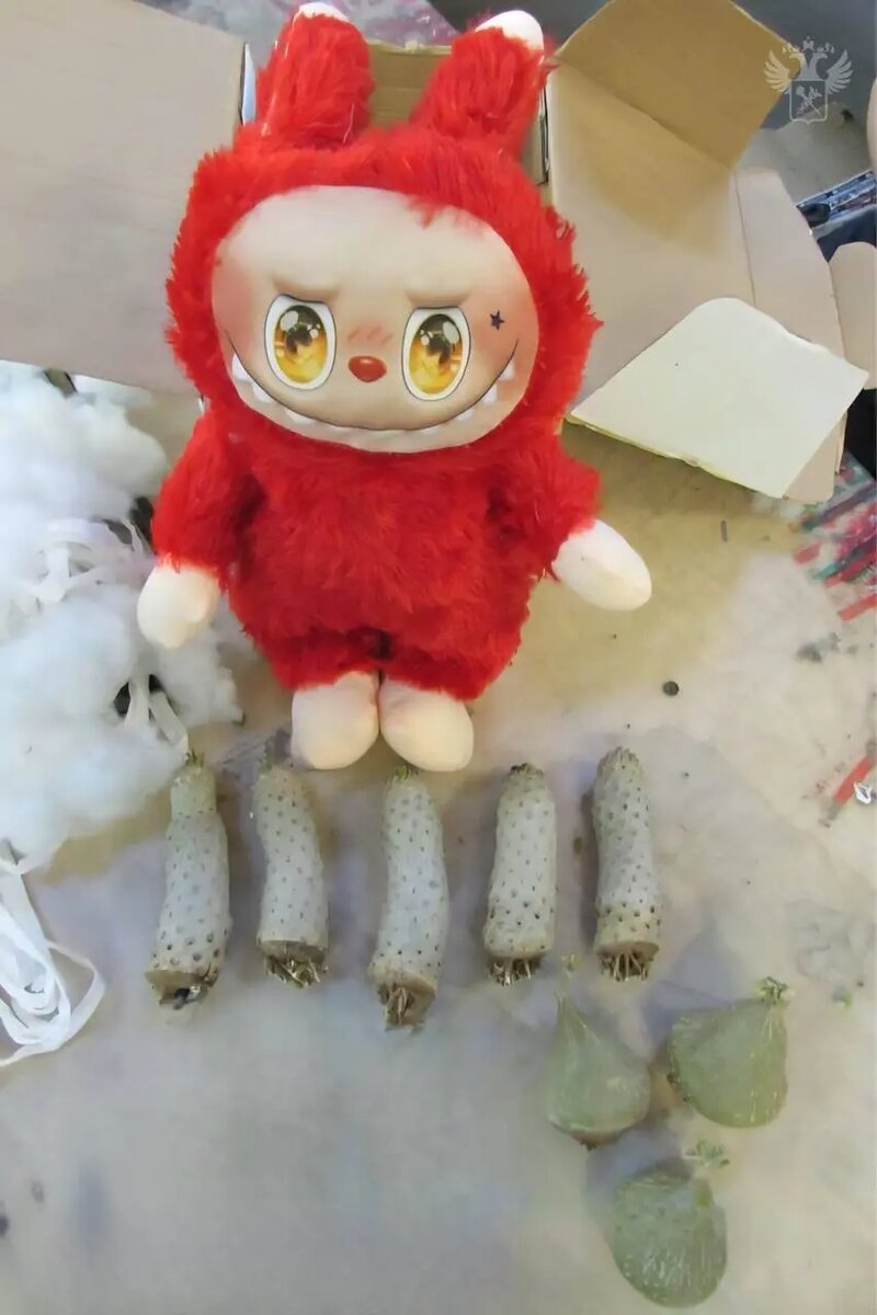    Фото: пресс-служба ФТС России.