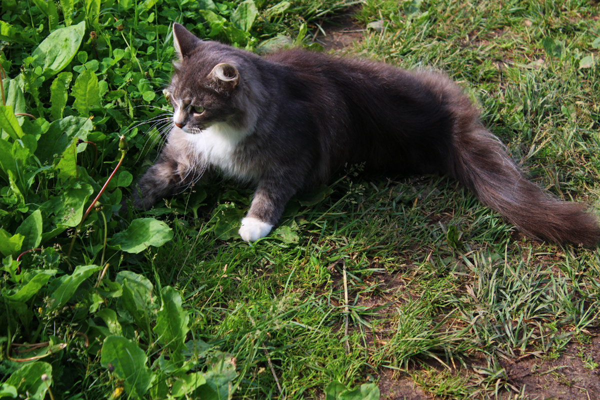 Местная жительница поселка Зарубино, которая очень приветливо встатила нас будто мы давно знакомы