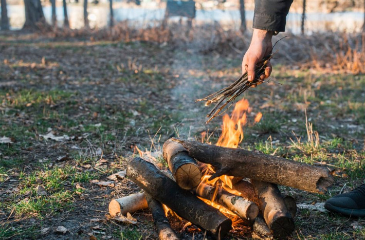    Фото: ru.freepik.com