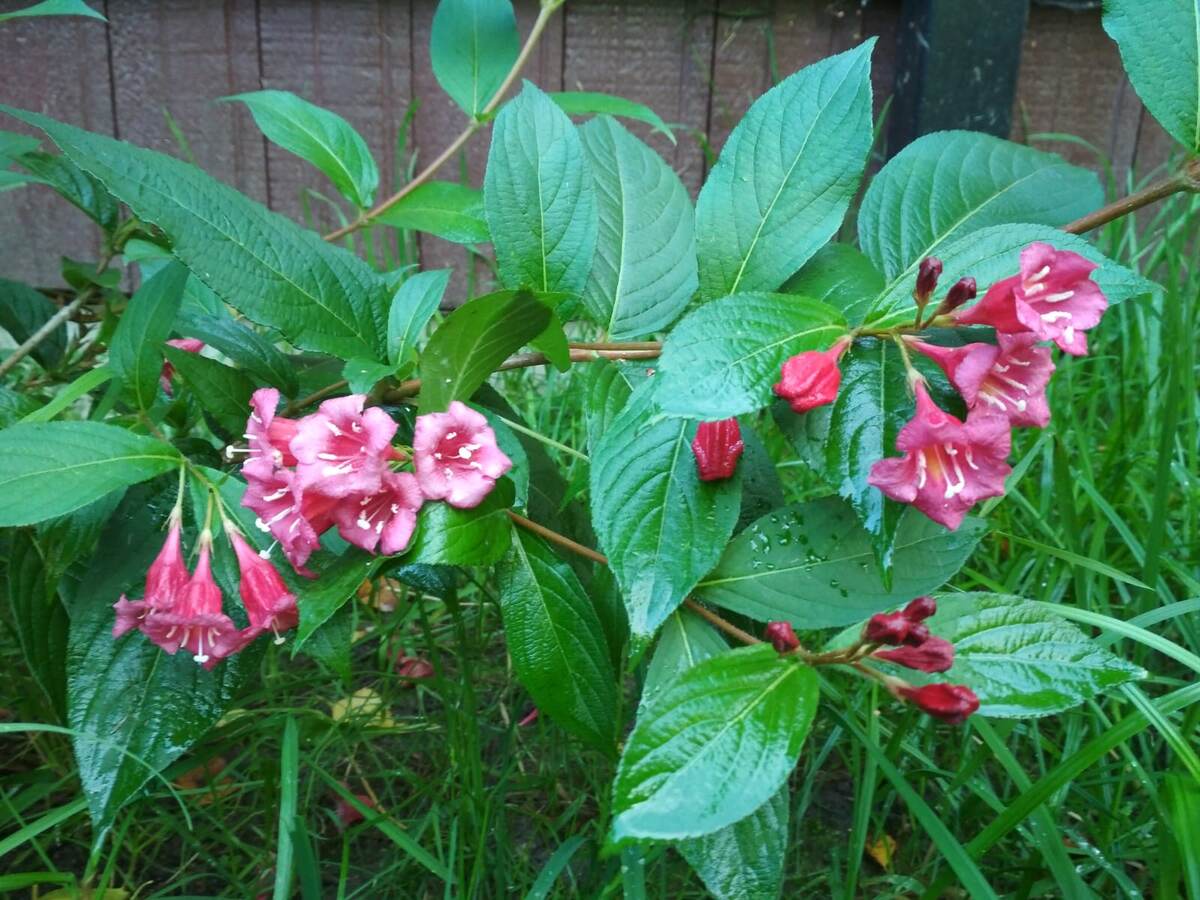 Осень 21 года.