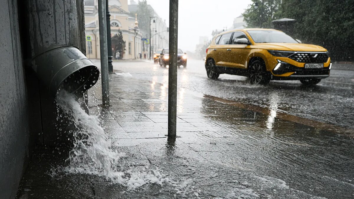   Александр Патрин / ТАСС