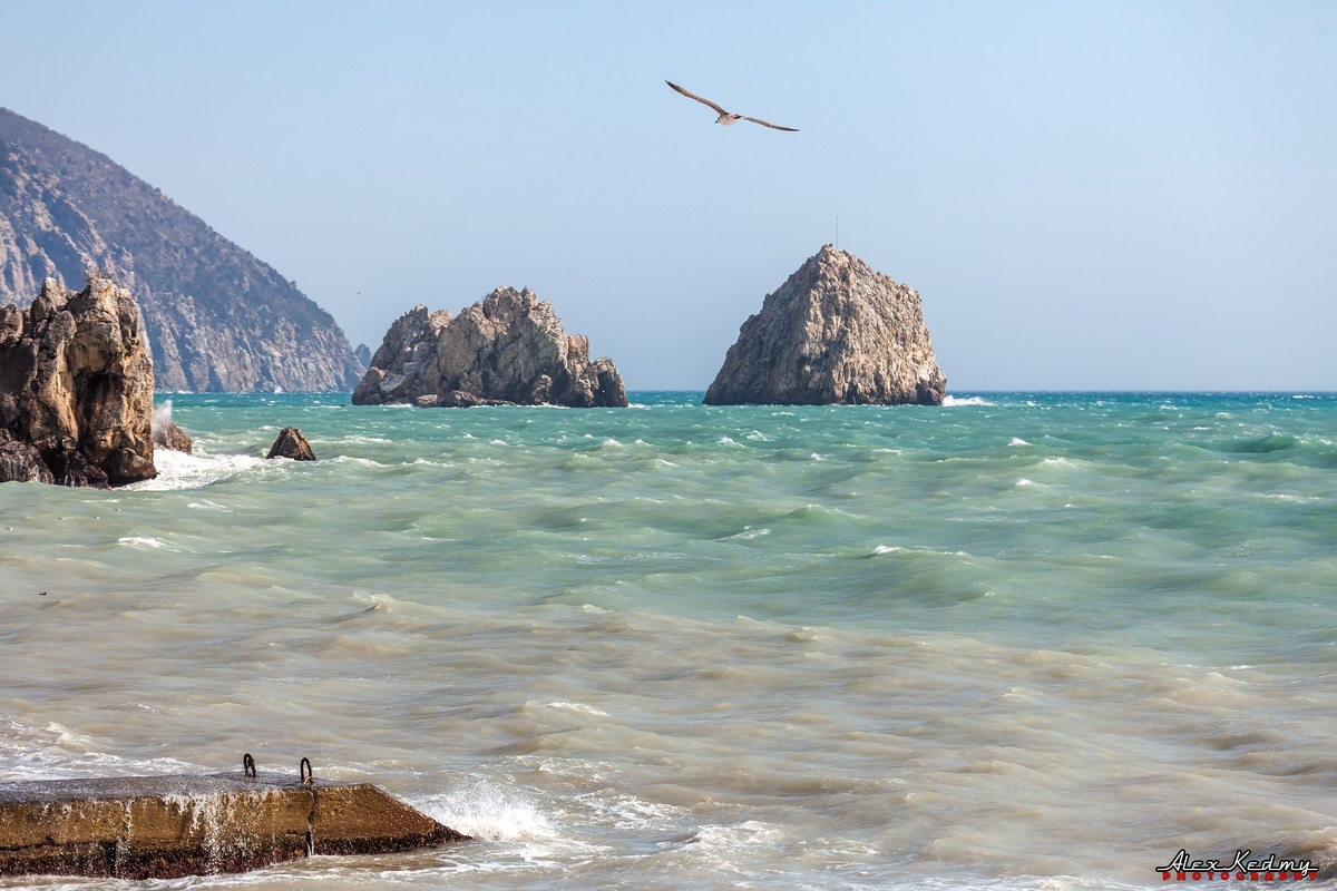 Фото: Александр Казаков 