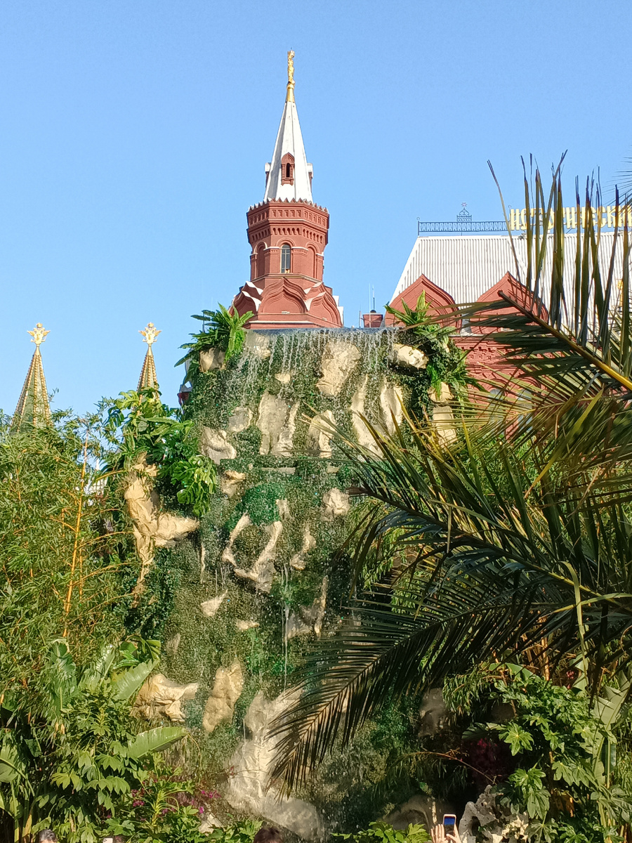 Тропический сад на Манежной площади. Фото автора. Июнь 2025 г.