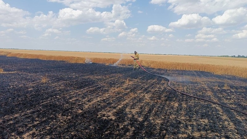      Фото: ПАСС Ставропольского края