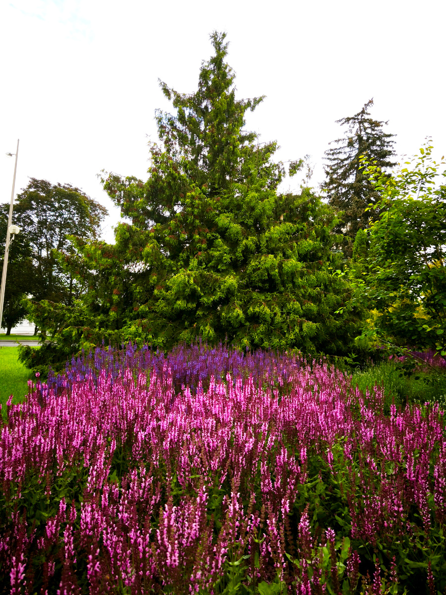  секрет перезагрузки за 48 часов