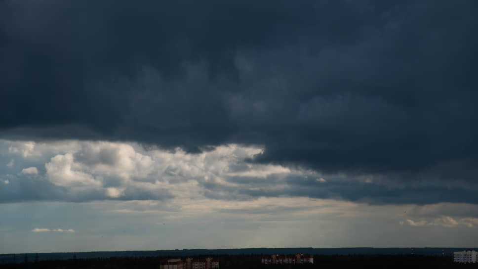 Фото: Олег Харсеев / Коммерсантъ