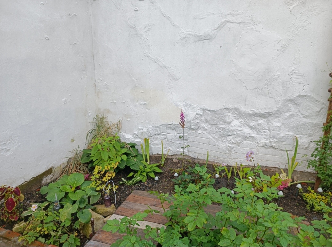 Было. Тут ещё картошка на переднем плане😂