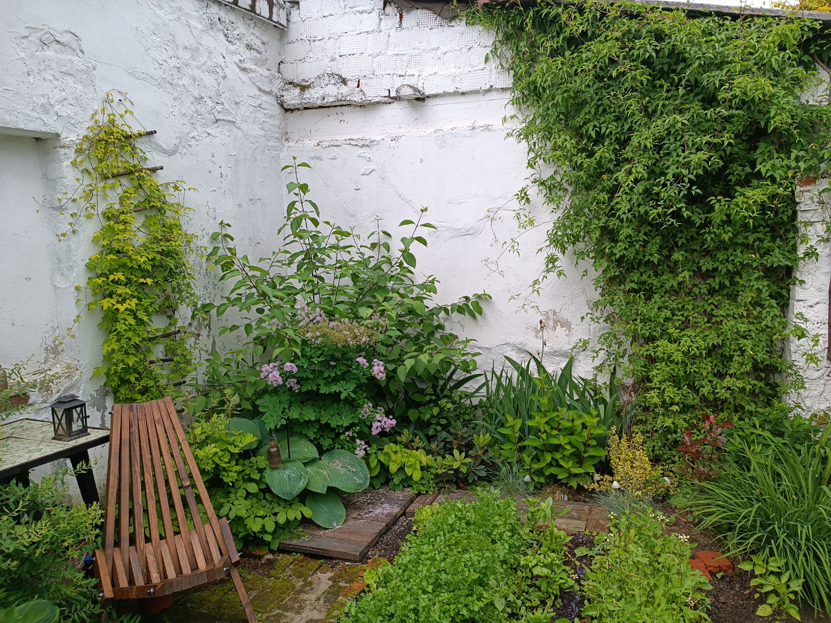 Стало. Всё это было посажено малышами два года назад, добавляла в прошлом году я лишь большую хосту и горянки