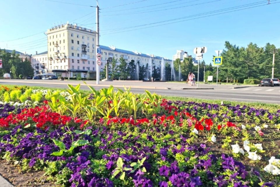    Клумбы. Цветы.. Источник: barnaul.org