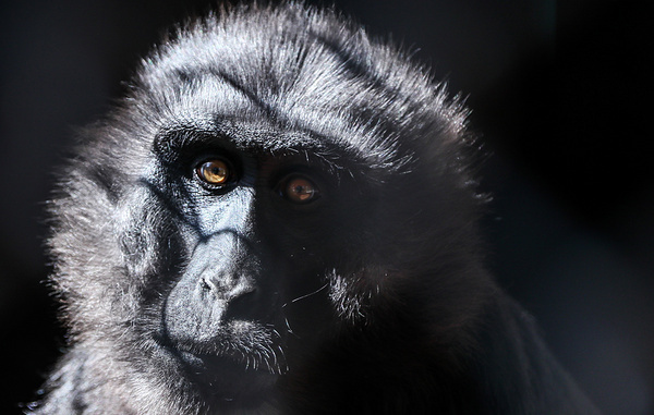 Дмитрий Феоктистов/ТАСС