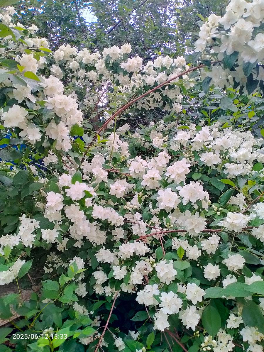 Фотография автора 