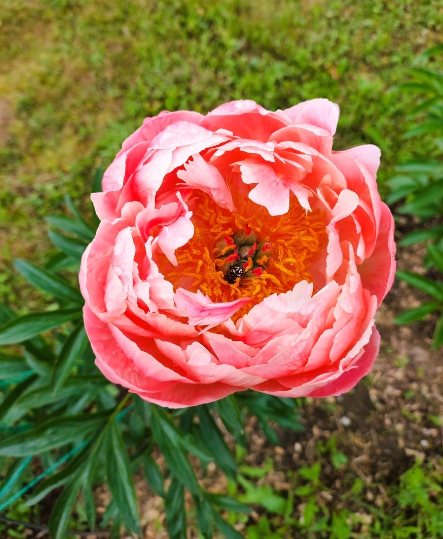 Фотографию прислала наша читательница Наталья, автор канала "Я и меланома"