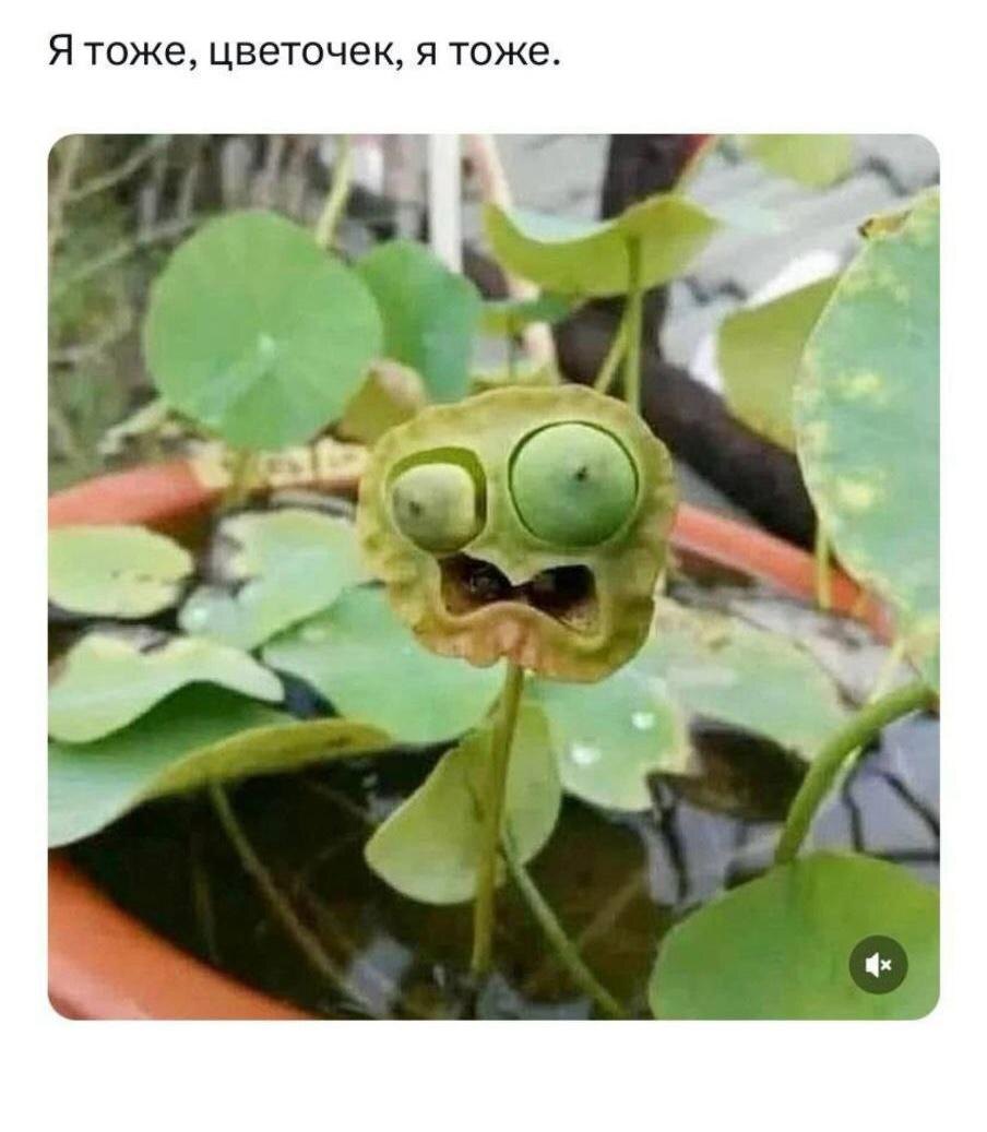 фото сегодня вот такое, из интернетов)