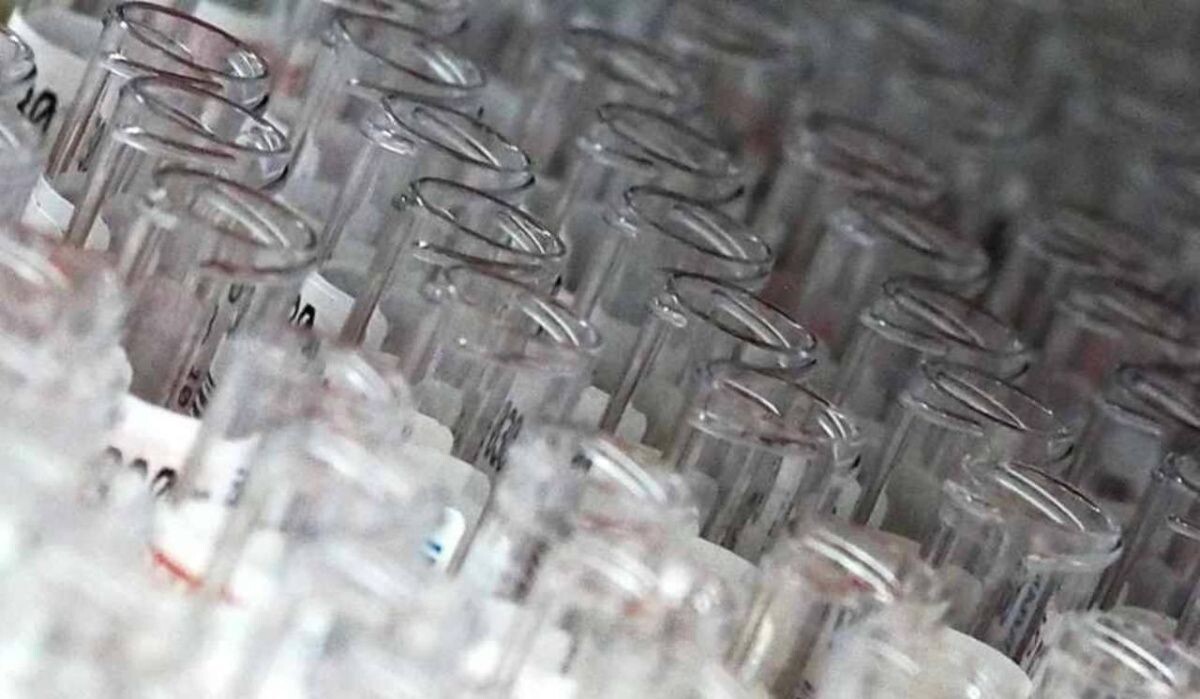     Вакцина. Источник: ria.ru Автор фото: Владимир Песня