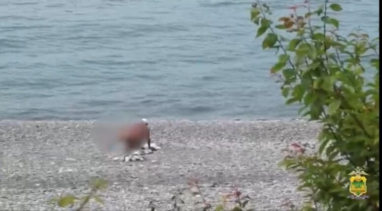    кадр из видео / полиция Сочи