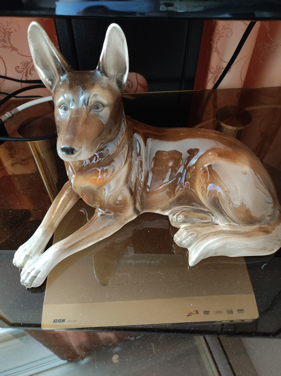 Фото автора