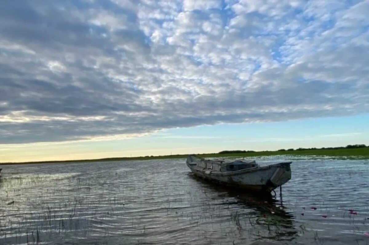    В Югре построят завод по производству замороженной и копченой рыбы