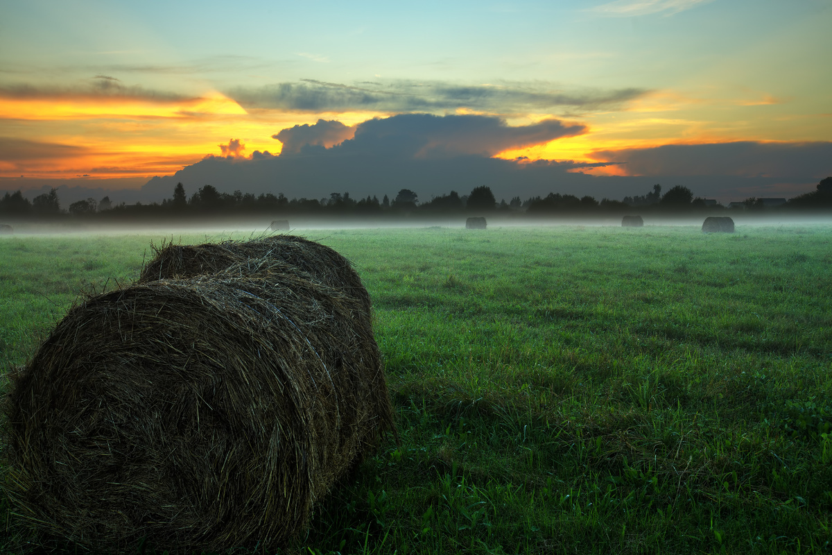 фото: Alexander Novikov/Global Look Press