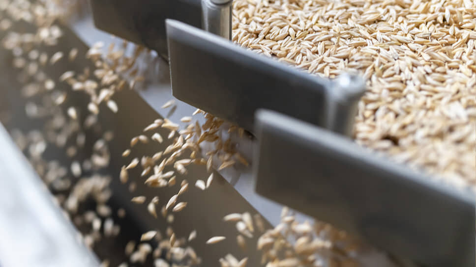 Татарстан впервые отгрузил в Иран 6,1 тыс. тонн пшеницы.📷Фото: Игорь Елисеев / Коммерсантъ