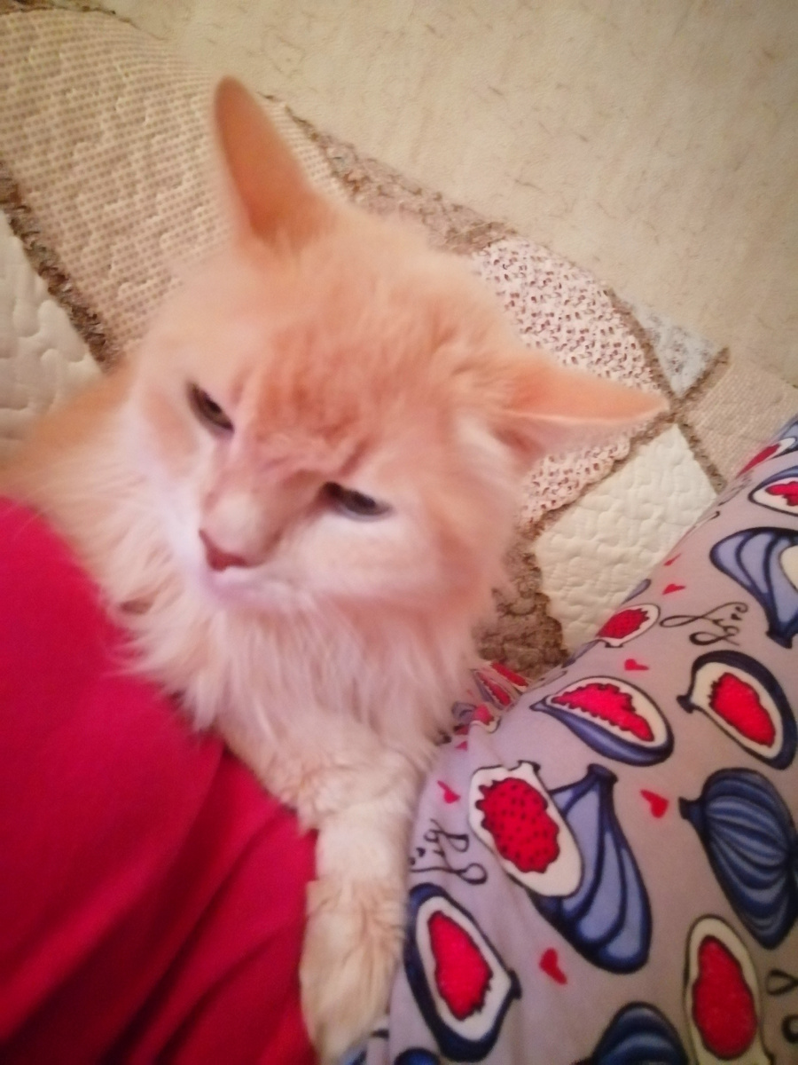 На диване вдвоём. 