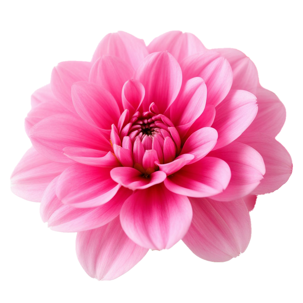 Путь каждого из нас уникален, как уникален каждый цветок