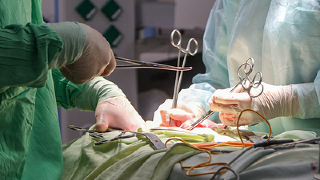    Belkin Alexey/Globallookpress