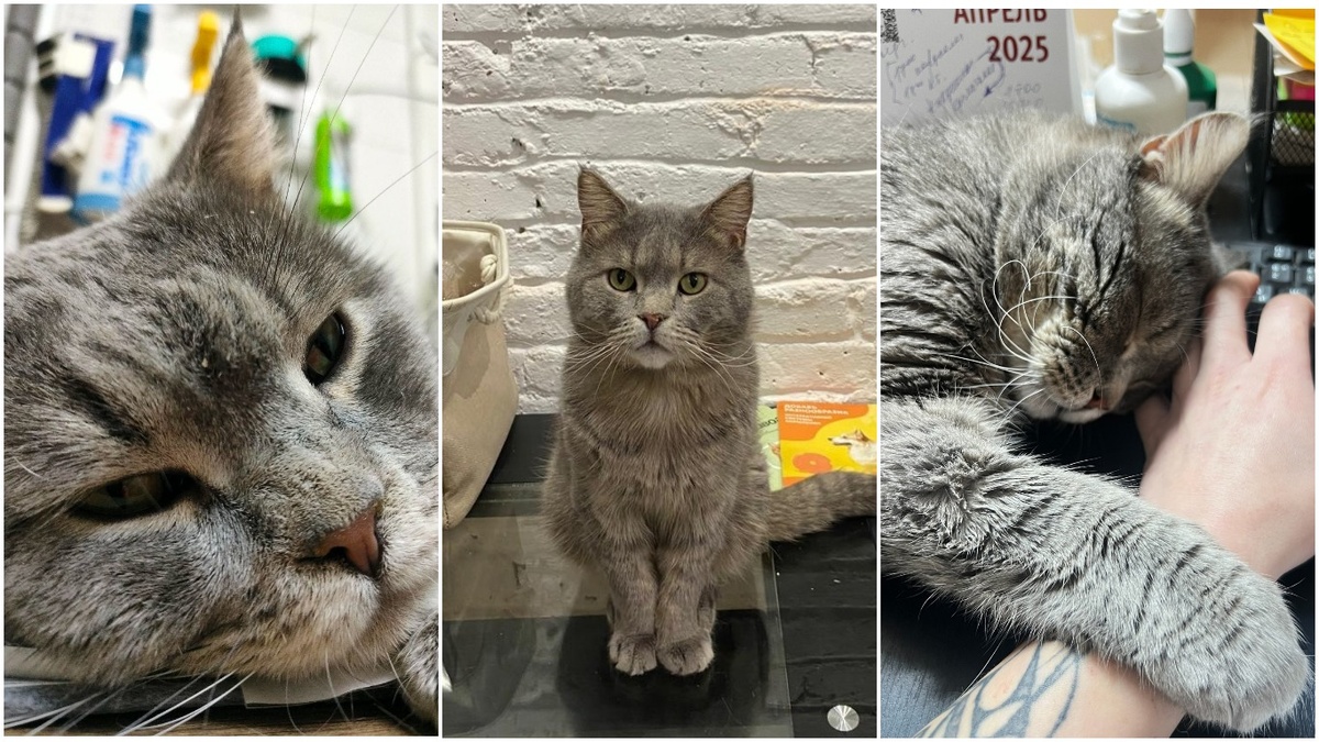 И это все он #берегиня_Гастрит