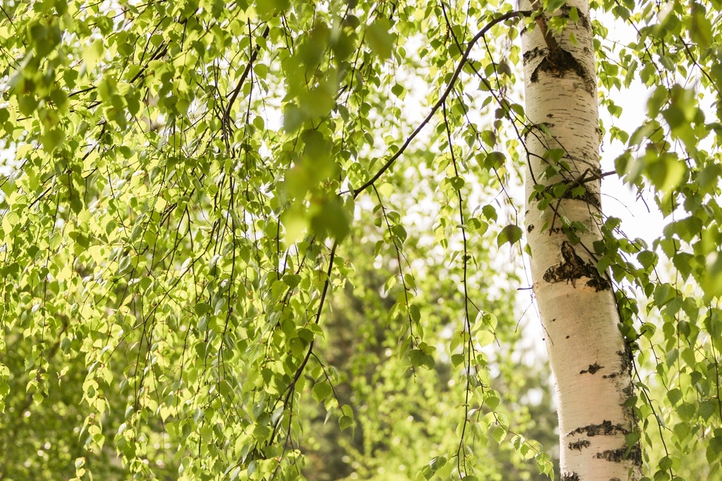 Designed by Freepik. Источник: www.freepik.com