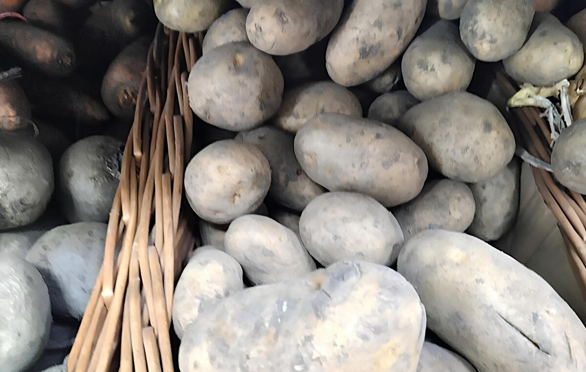 Фото: АПК Новости