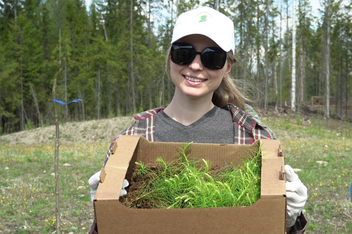    Посадка сеянцев сосны во время акции «Сад памяти» в Пряжинском районе Карелии. Фото: "Республика"/Максим Смирнов