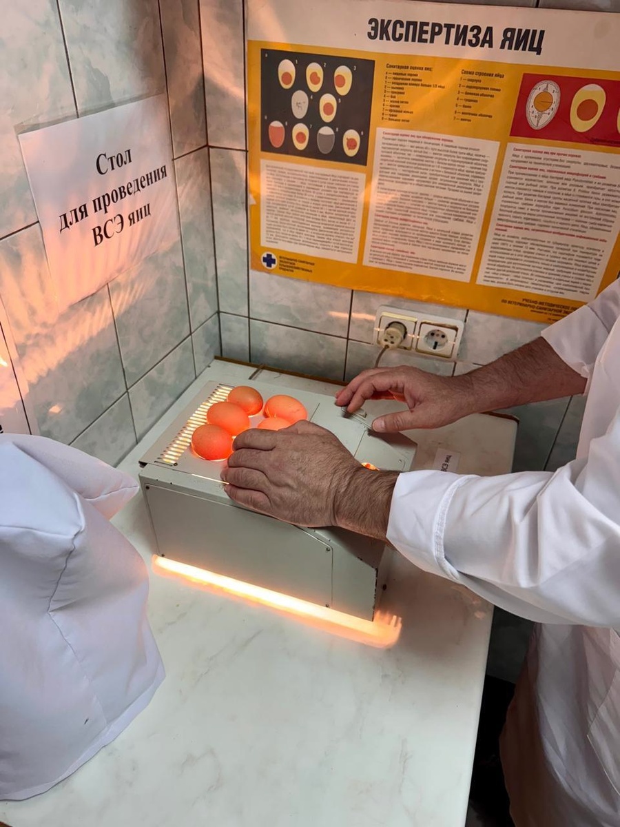 
Фото предоставлено пресс-службой СББЖ города Волгодонска