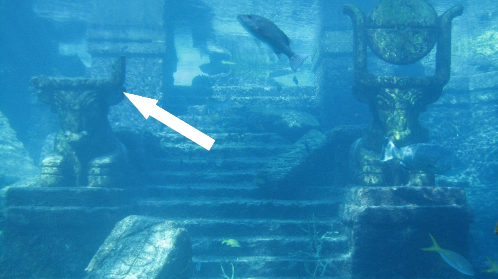    Тайны подводных городов затонувшие цивилизации скрывают больше чем мы думаем