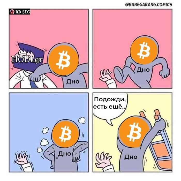 «Bitcoin долбит дно — HODLer жалуется»
