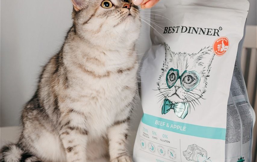 Обзор сухих кормов для кошек Best Dinner Sensible