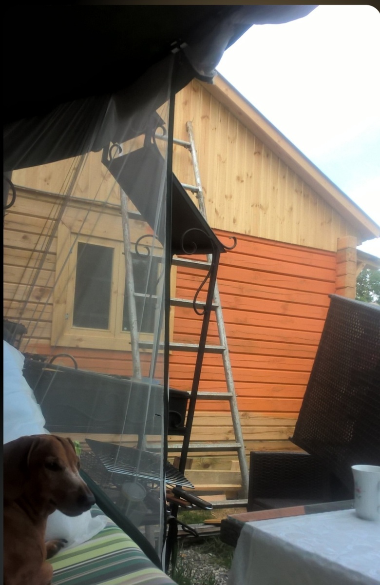 Ричуля следил за всеми этапами строительства, как бы делая вид, что он здесь ни при чём!