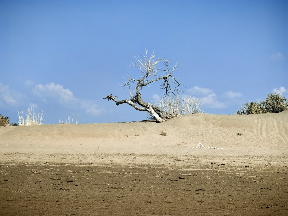 Песчаные пляжи Азовского моря