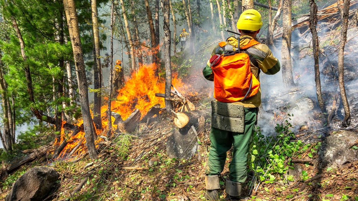    В Югре тушат два лесных пожара