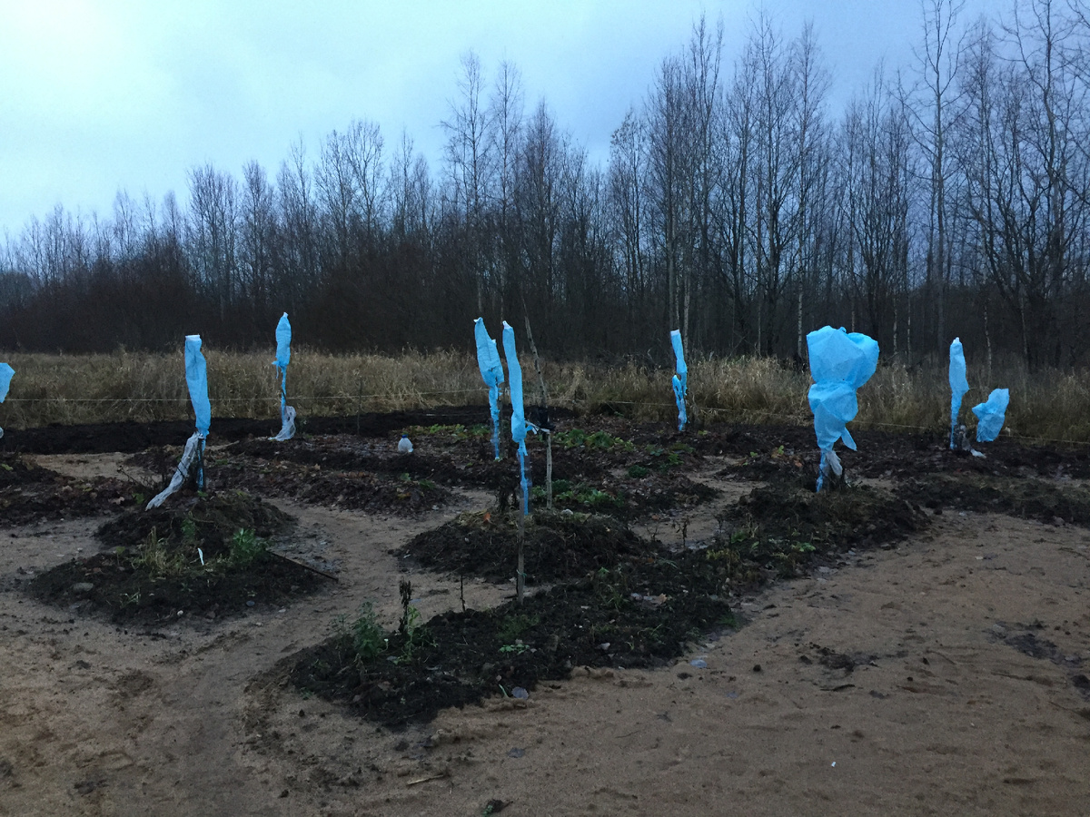 Вот такую работу мы в 4 ркуи проделали за первый год.