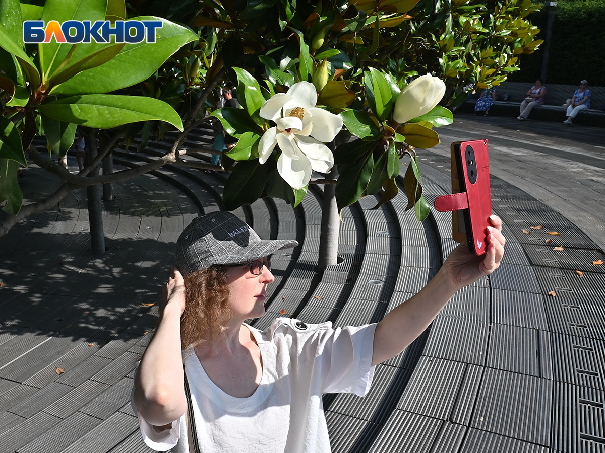 Фото: "Блокнот Краснодар"