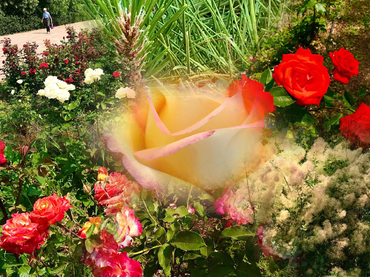 фото из собственной галереи