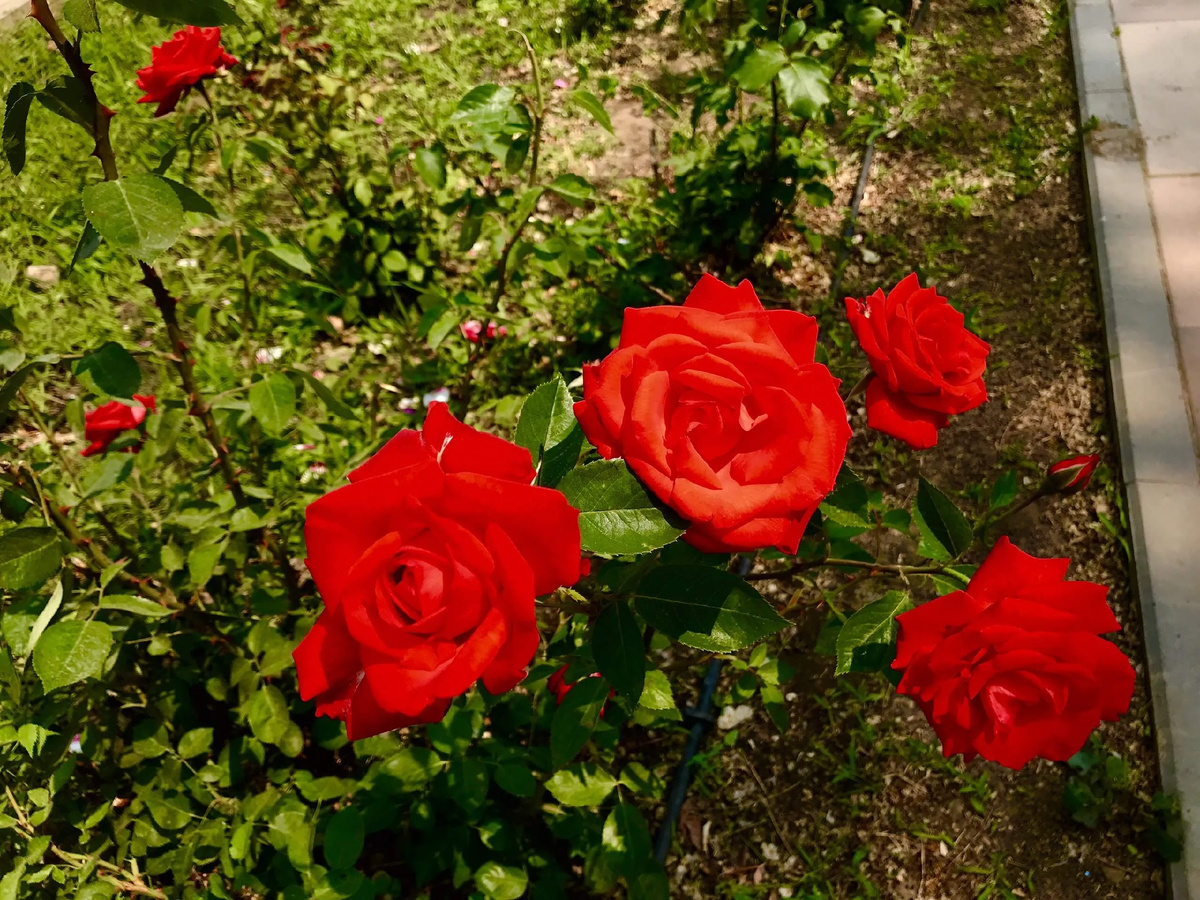 фото из личной галереи