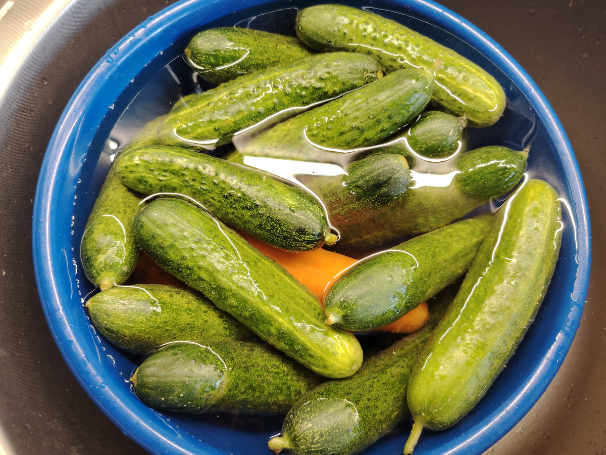 Фото автора канала