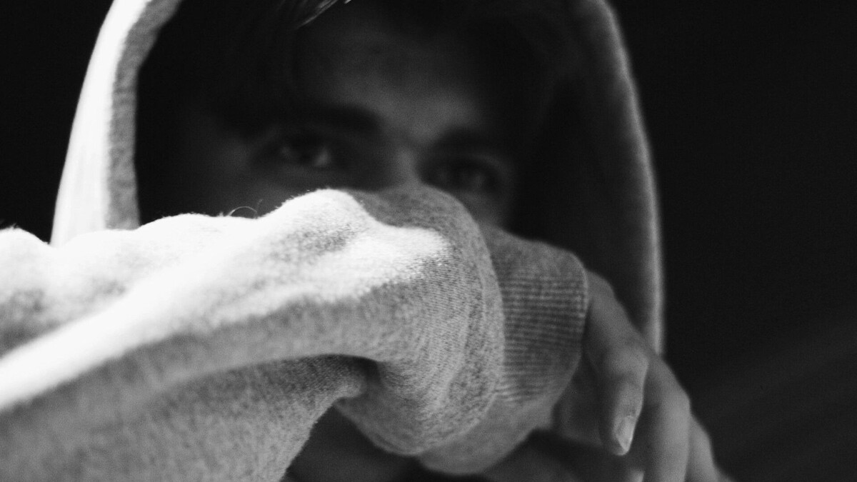     Автор: Nikita Chaturov/Unsplash Источник: видео ТГ «Это Ростов Новости»