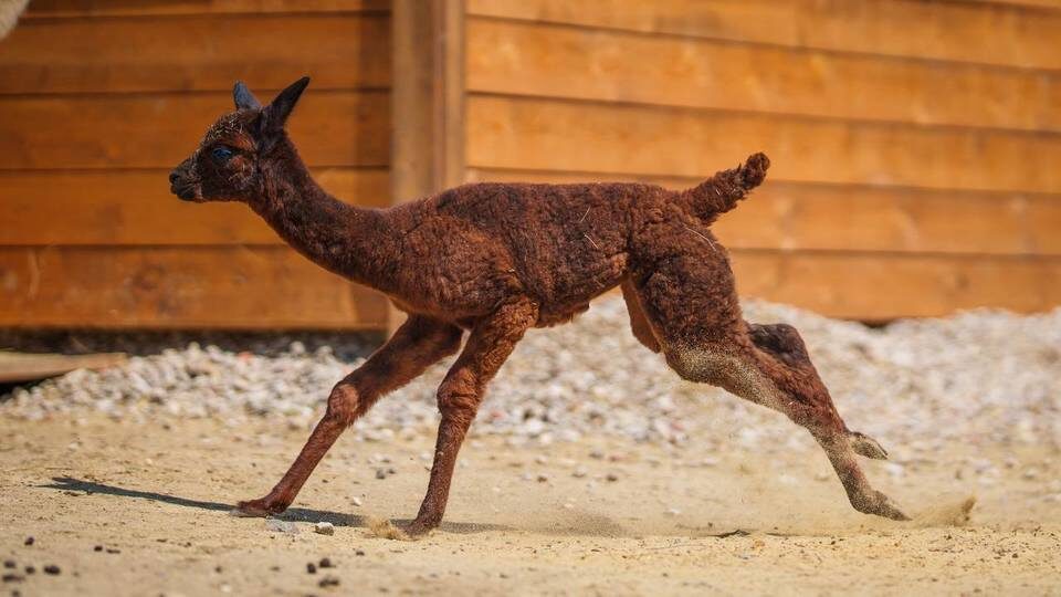    Фото: ООО «Парк».