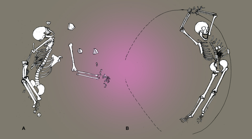   N + 1; Eva Vaníčková et al. / Archaeological and Anthropological Sciences, 2025