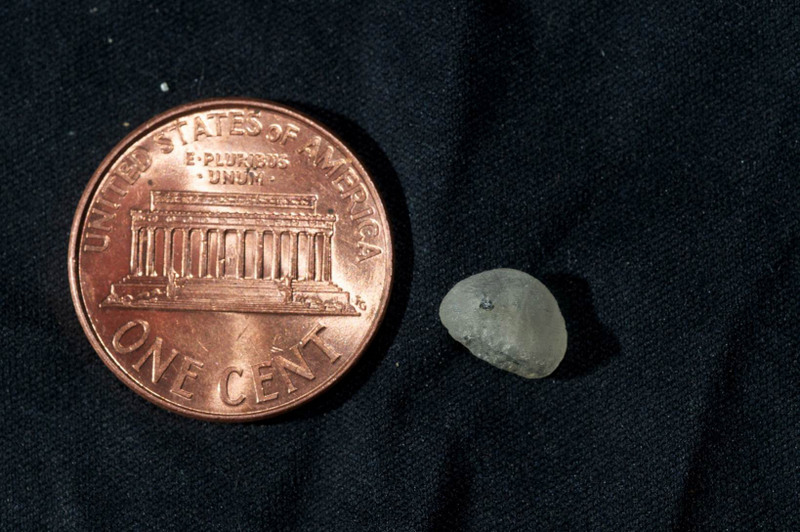 Фаланга мизинца из Денисовой пещеры Источник: http://quite-reading.blogspot.ru/2012/