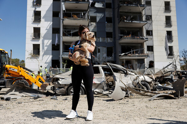 Девушка с собакой на фоне разрушенного дома в израильском городе Беэр-Шева, 20 июня 2025 года / Amir Cohen/Reuters  