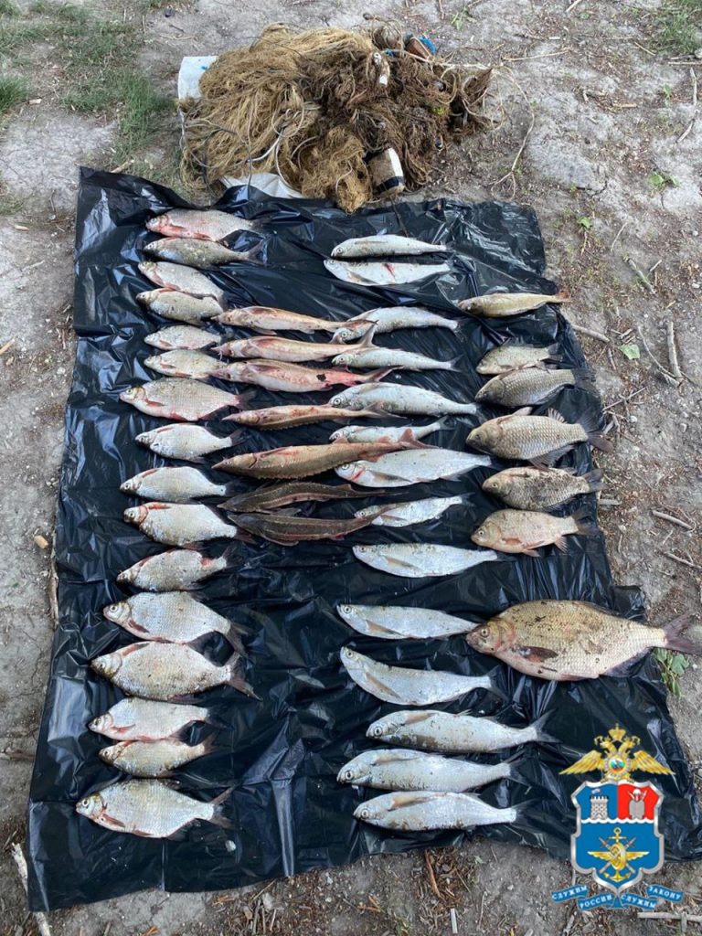 Фото пресс-службы УТ МВД России по СКФО redaktor  📷
