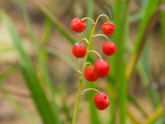    Фото: 123RF/ivanmel87